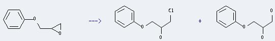 Phenyl glycidyl ether can be used to get 3-phenoxy-propane-1,2-diol and 1-chloro-3-phenoxy-propan-2-ol.